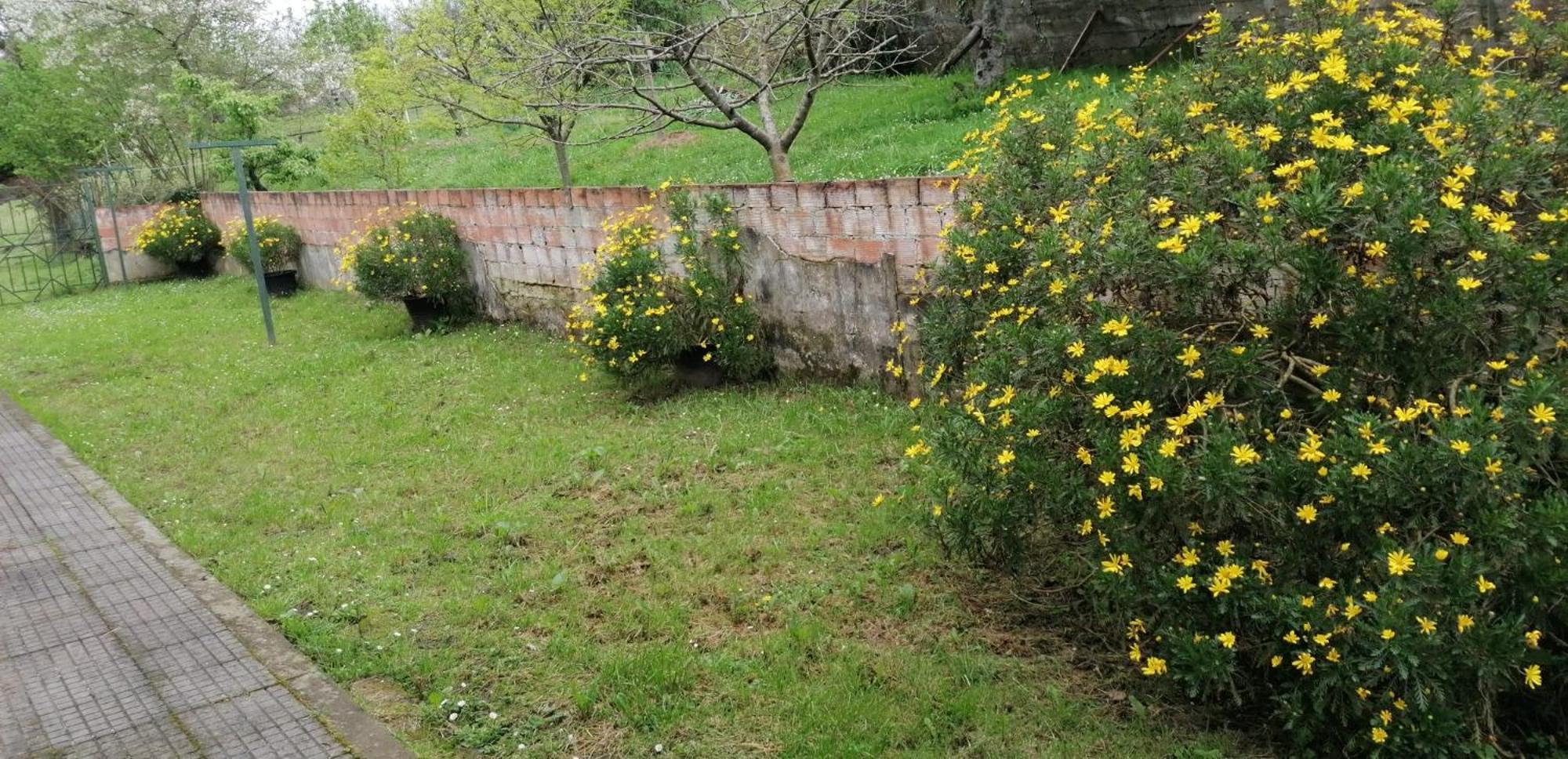 Fondu La Llosa - Casita cerca de Gijón Villaviciosa  Exterior foto